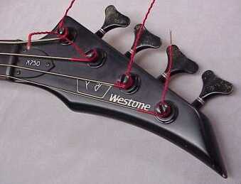 Pantera X750 bass headstock