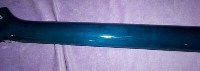 Concord SX neck back