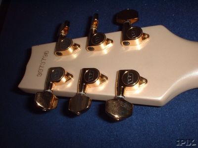 Thunder IIIA headstock back