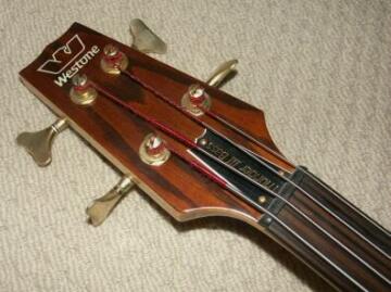 Thunder III fretless head
